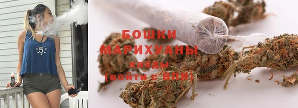 PSILOCYBIN Приозерск