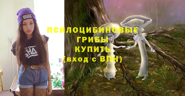 PSILOCYBIN Приозерск