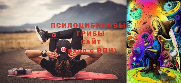 PSILOCYBIN Приозерск