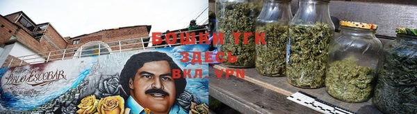 PSILOCYBIN Приозерск