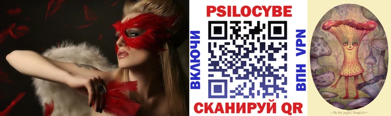 Купить закладки  Владивосток  Псилоцибиновые грибы мицелий