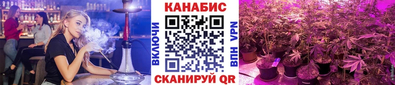 Шишки марихуана марихуана  Купить  Владивосток 